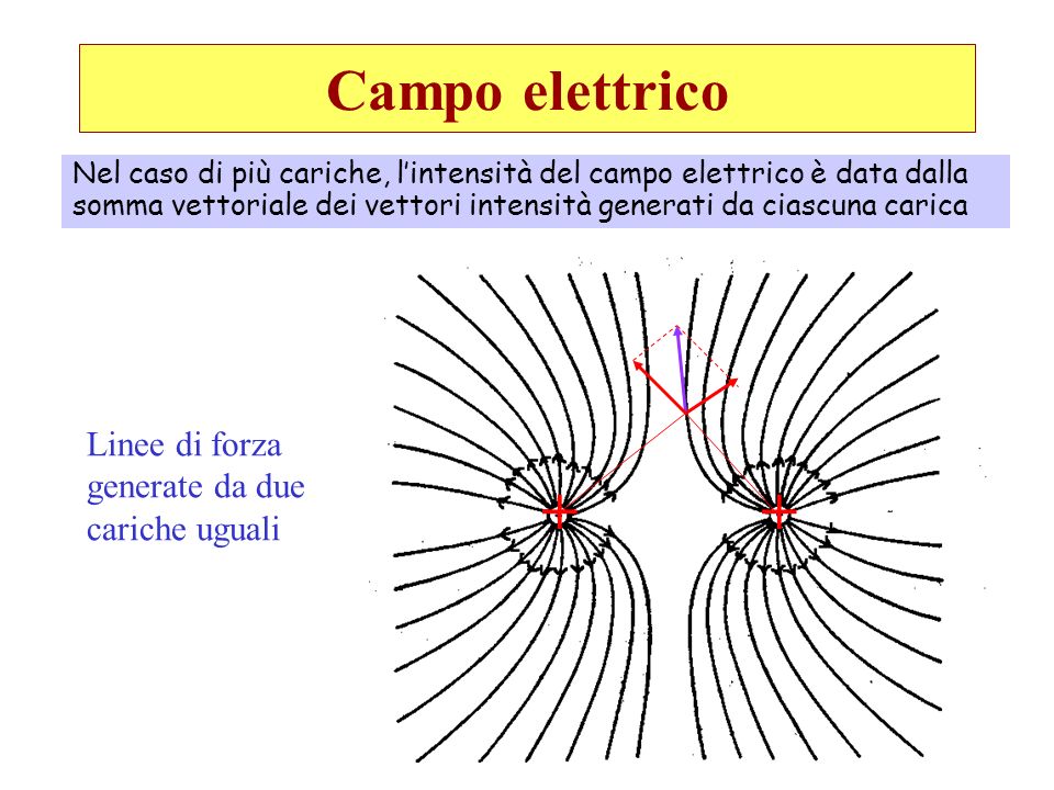 + + Campo elettrico Linee di forza generate da due cariche uguali