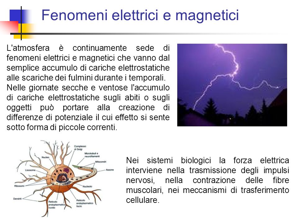 Fenomeni elettrici e magnetici