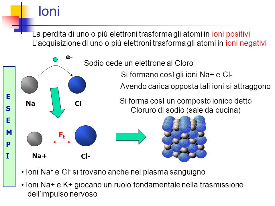 Ioni La perdita di uno o più elettroni trasforma gli atomi in ioni positivi.