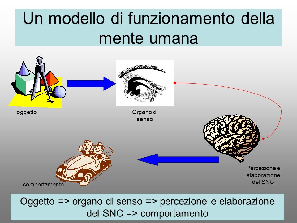 Un modello di funzionamento della mente umana
