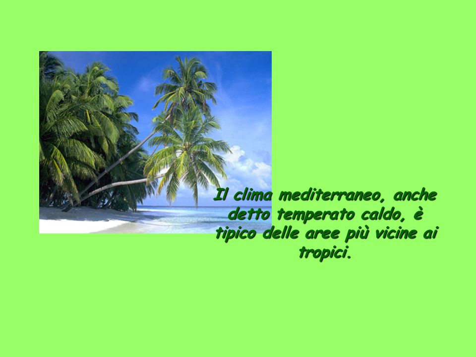 Il clima mediterraneo, anche detto temperato caldo, è tipico delle aree più vicine ai tropici.