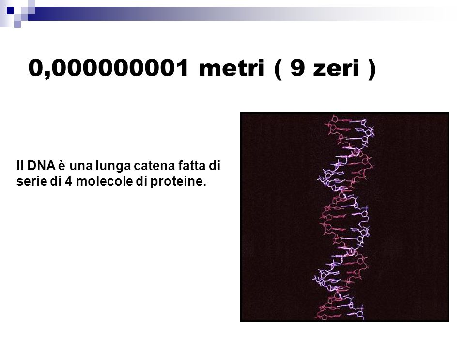 0, metri ( 9 zeri ) Il DNA è una lunga catena fatta di