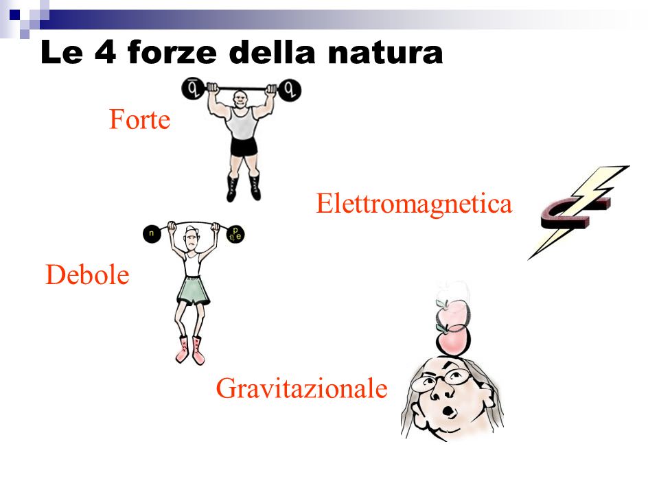 Le 4 forze della natura Forte Elettromagnetica Debole Gravitazionale