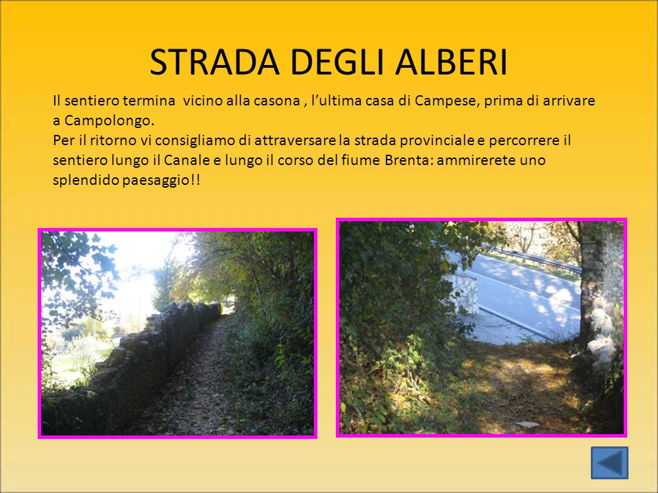 STRADA DEGLI ALBERI Il sentiero termina vicino alla casona , l’ultima casa di Campese, prima di arrivare a Campolongo.