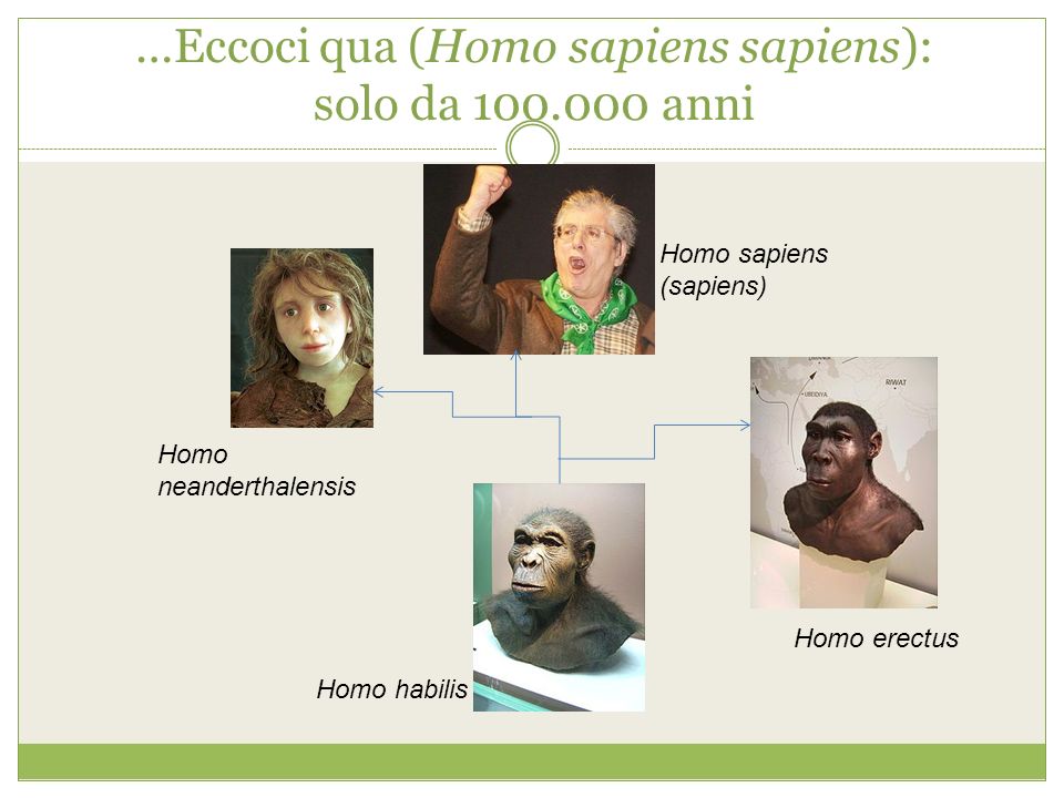 …Eccoci qua (Homo sapiens sapiens): solo da anni