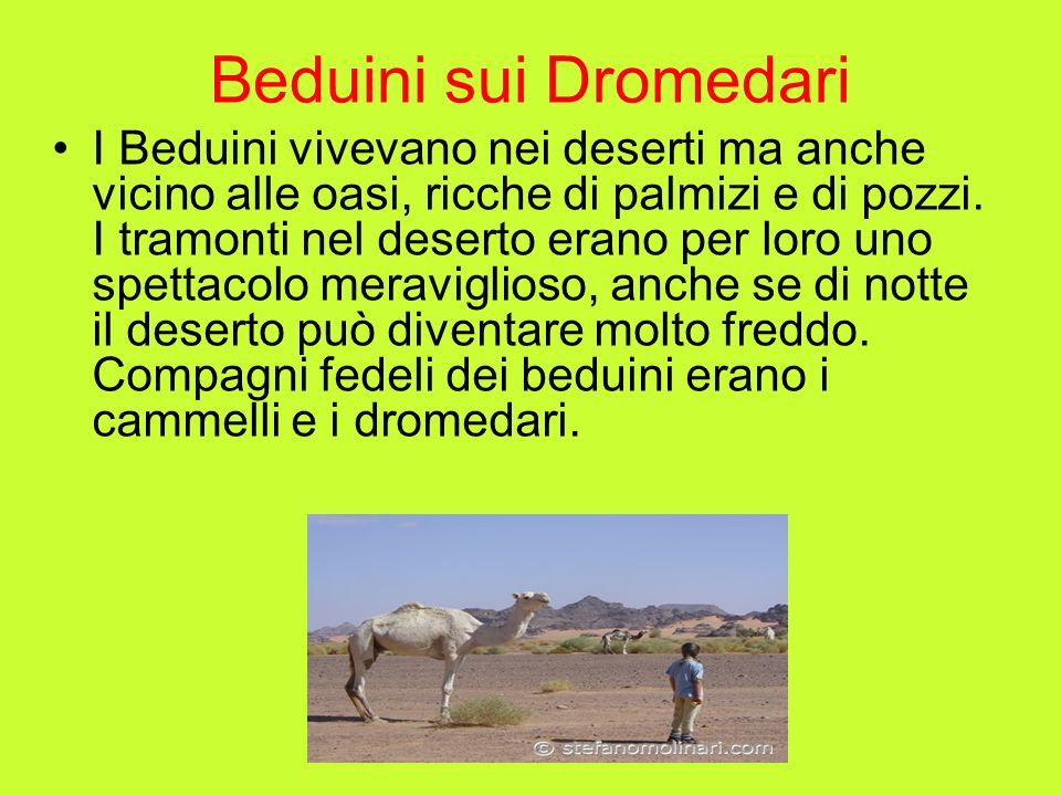 Beduini sui Dromedari
