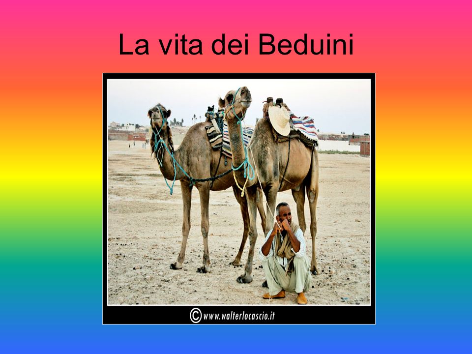La vita dei Beduini