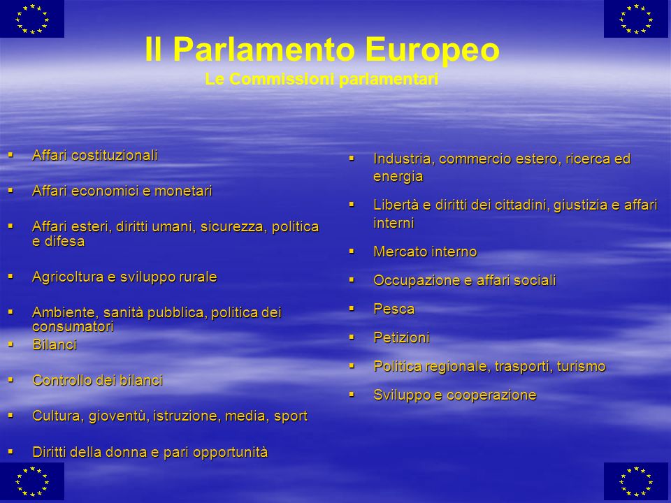 Il Parlamento Europeo Le Commissioni parlamentari
