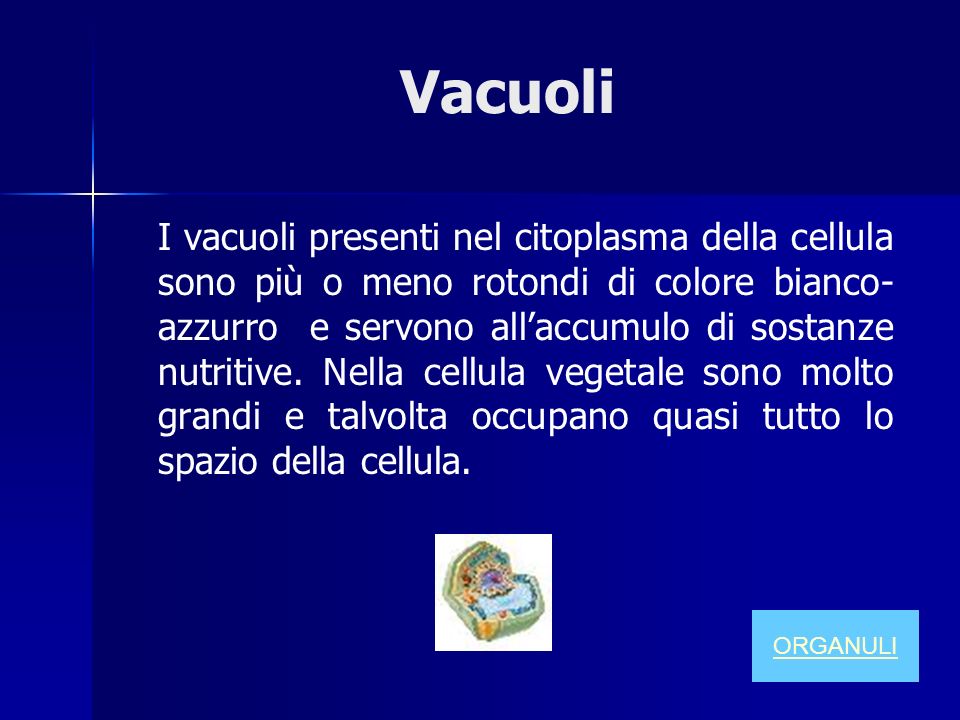 Vacuoli