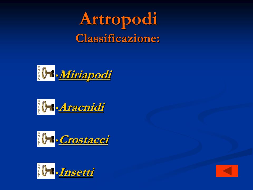 Artropodi Classificazione: Classificazione: Miriapodi Aracnidi
