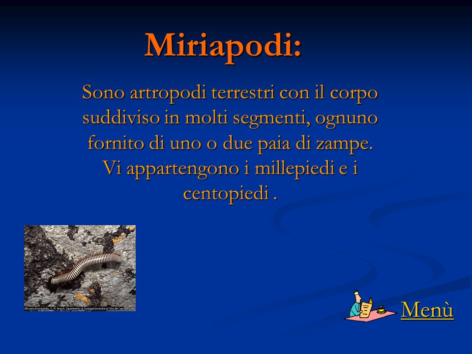 Miriapodi:
