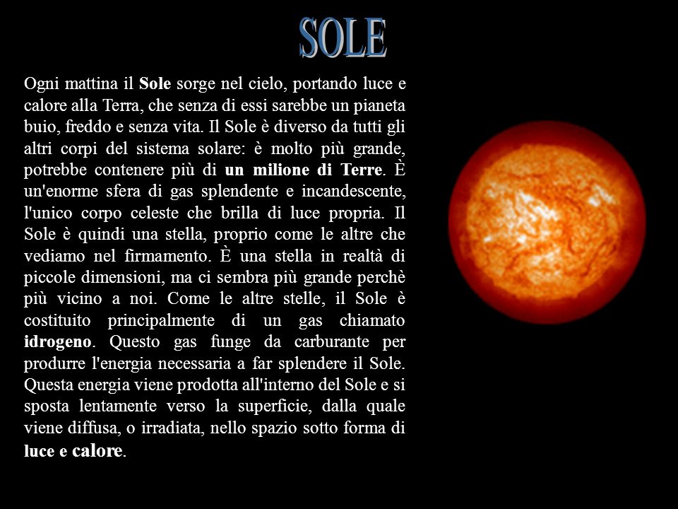 SOLE SOLE.