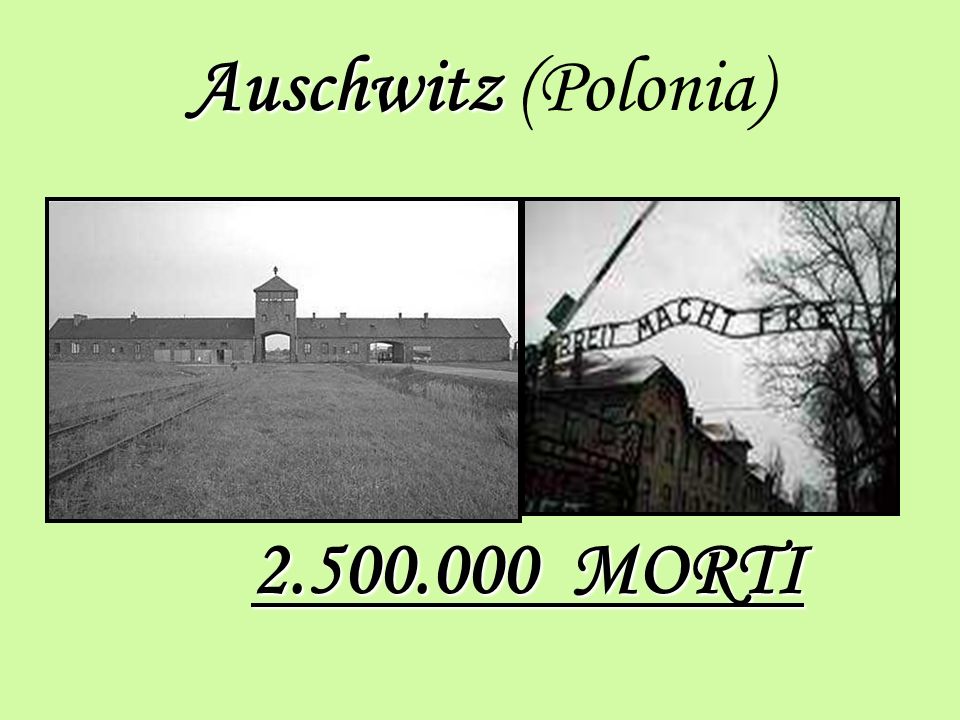 Auschwitz (Polonia) MORTI