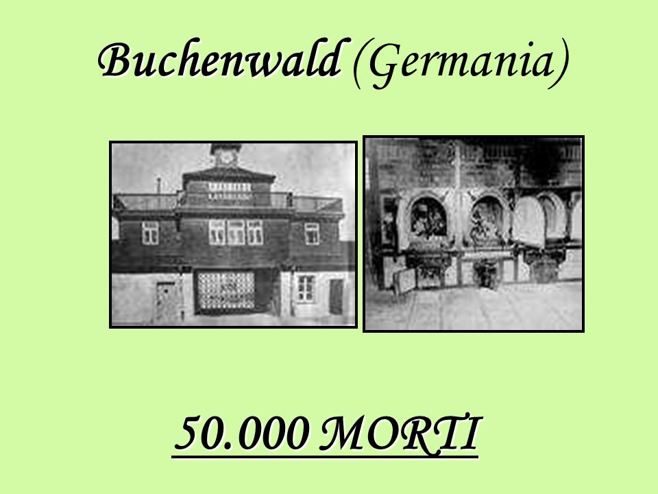 Buchenwald (Germania)