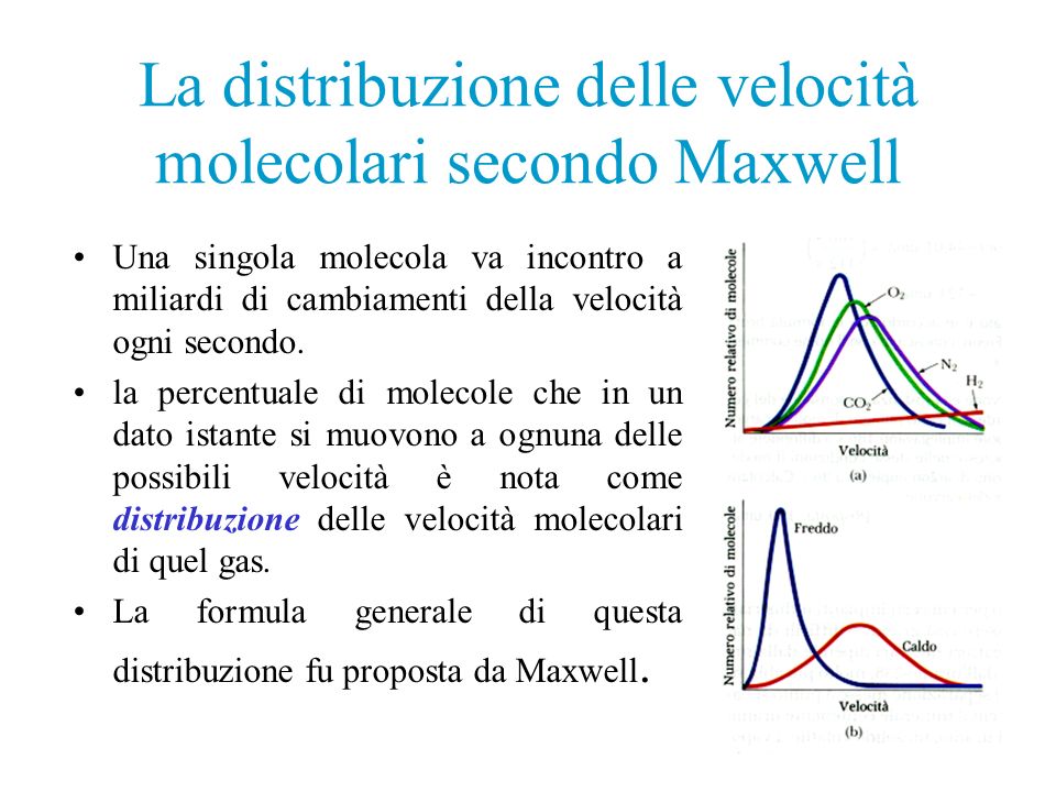 La distribuzione delle velocità molecolari secondo Maxwell