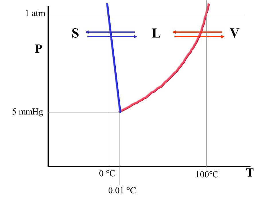 1 atm S L V P 5 mmHg T 0 °C 100°C 0.01 °C