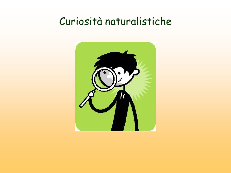 Curiosità naturalistiche