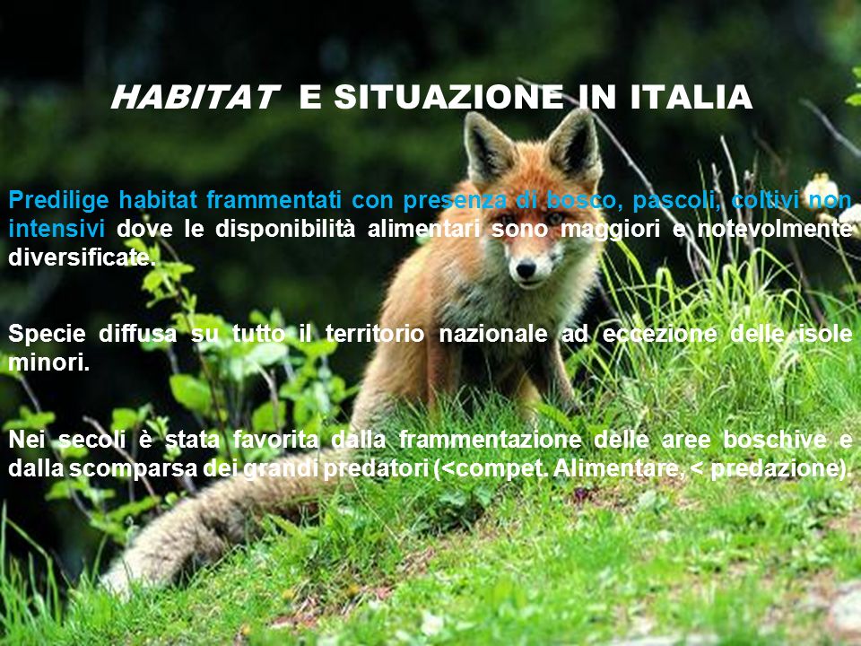HABITAT E SITUAZIONE IN ITALIA