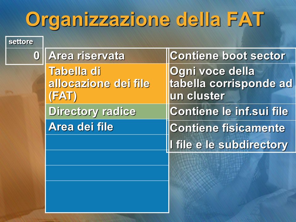 Organizzazione della FAT