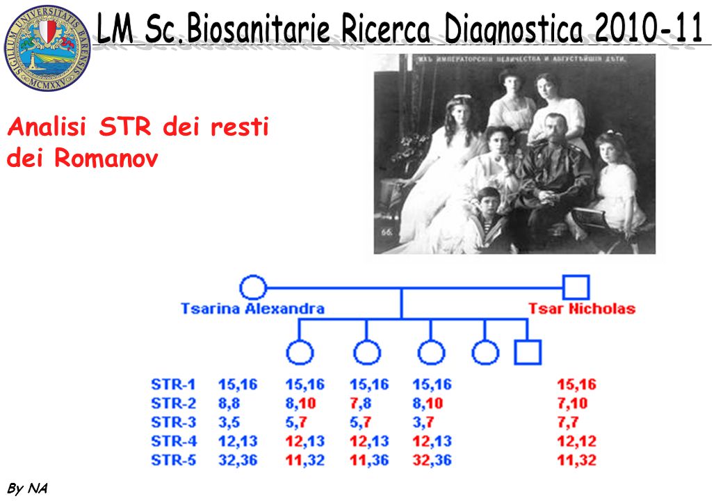 Analisi STR dei resti dei Romanov