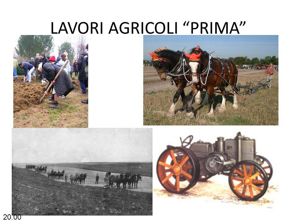 LAVORI AGRICOLI PRIMA