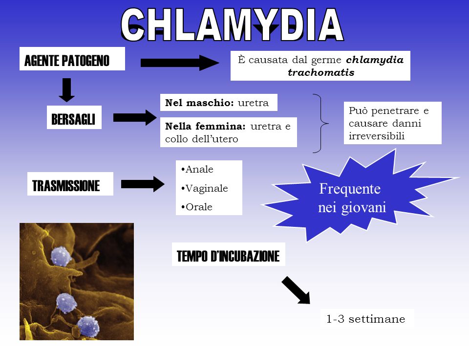 È causata dal germe chlamydia trachomatis