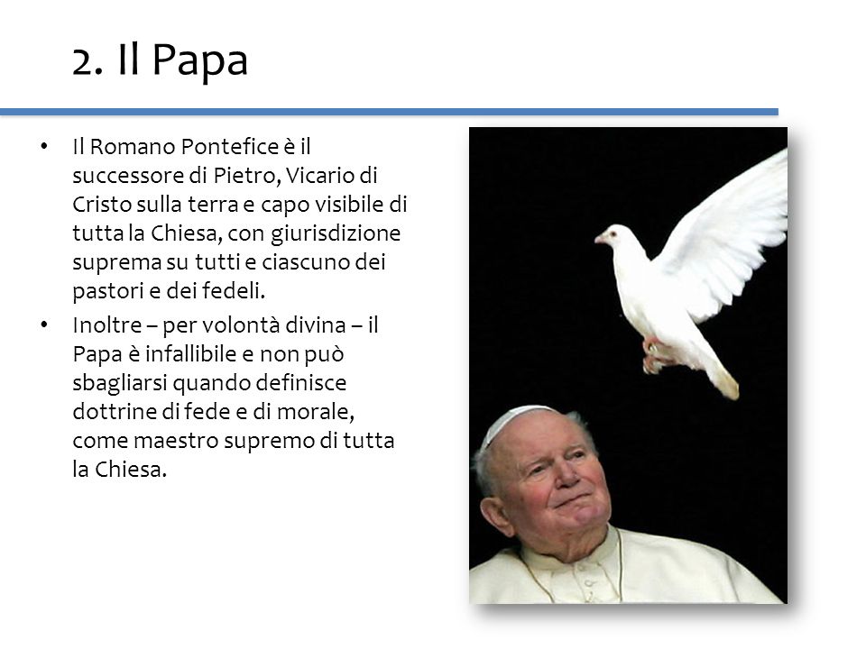 2. Il Papa