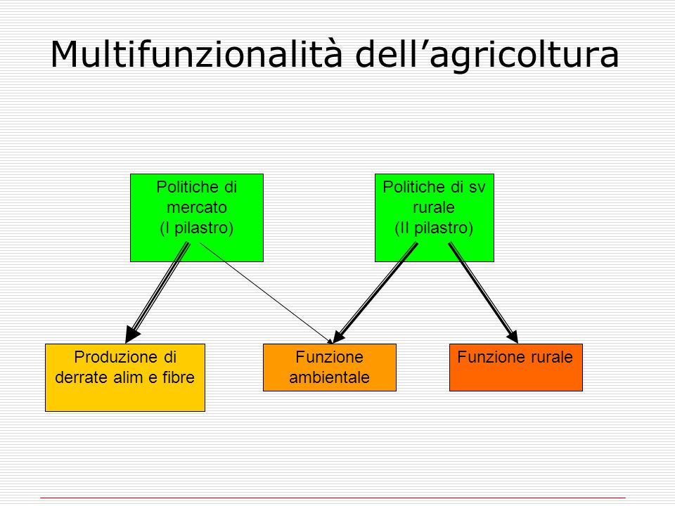 Multifunzionalità dell’agricoltura