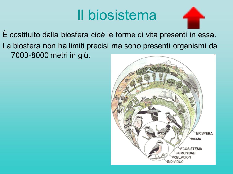 Il biosistema È costituito dalla biosfera cioè le forme di vita presenti in essa.