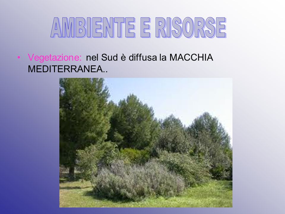 AMBIENTE E RISORSE Vegetazione: nel Sud è diffusa la MACCHIA MEDITERRANEA..
