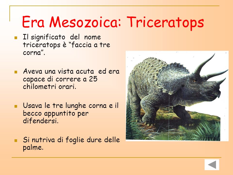 Era Mesozoica: Triceratops
