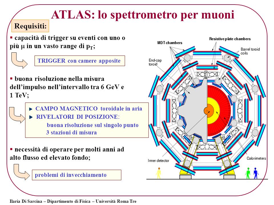 ATLAS: lo spettrometro per muoni