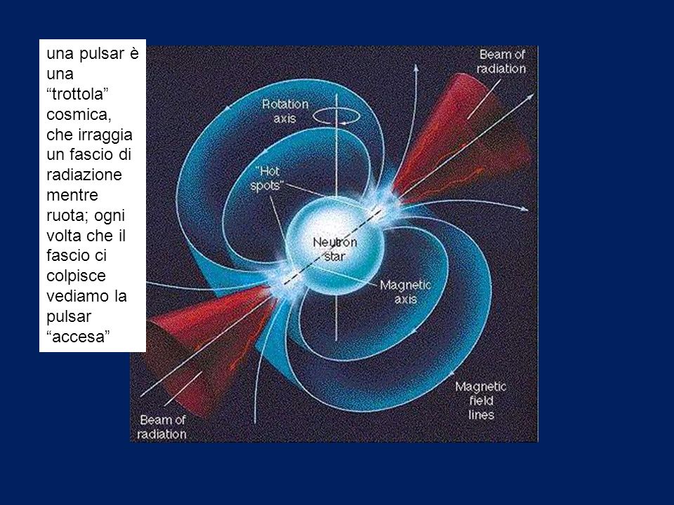 una pulsar è una trottola cosmica, che irraggia un fascio di radiazione mentre ruota; ogni volta che il fascio ci colpisce vediamo la pulsar accesa