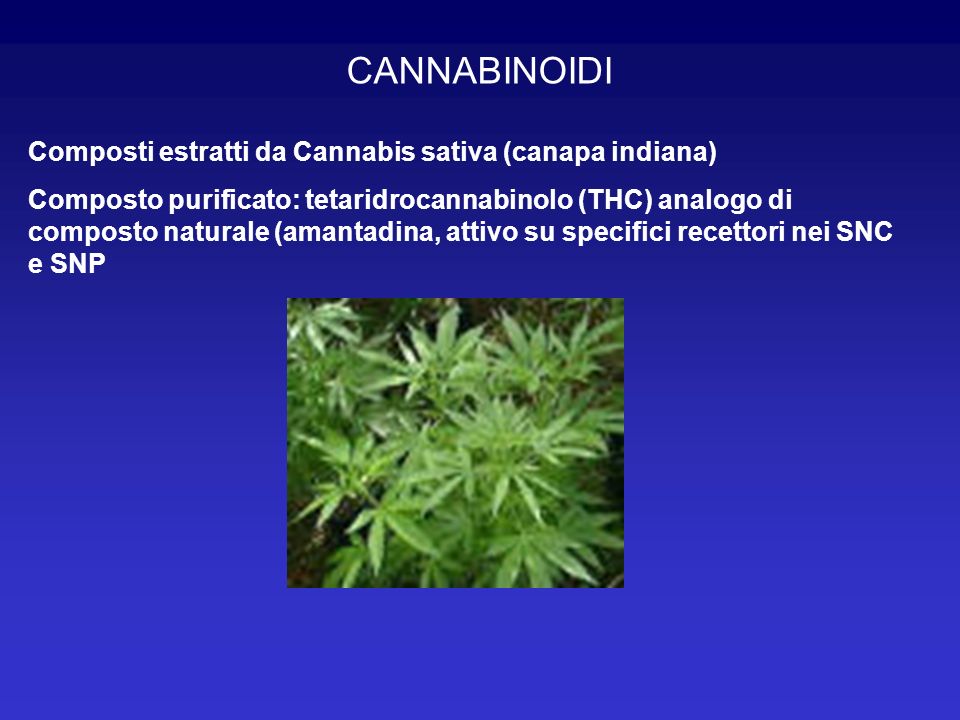 CANNABINOIDI Composti estratti da Cannabis sativa (canapa indiana)