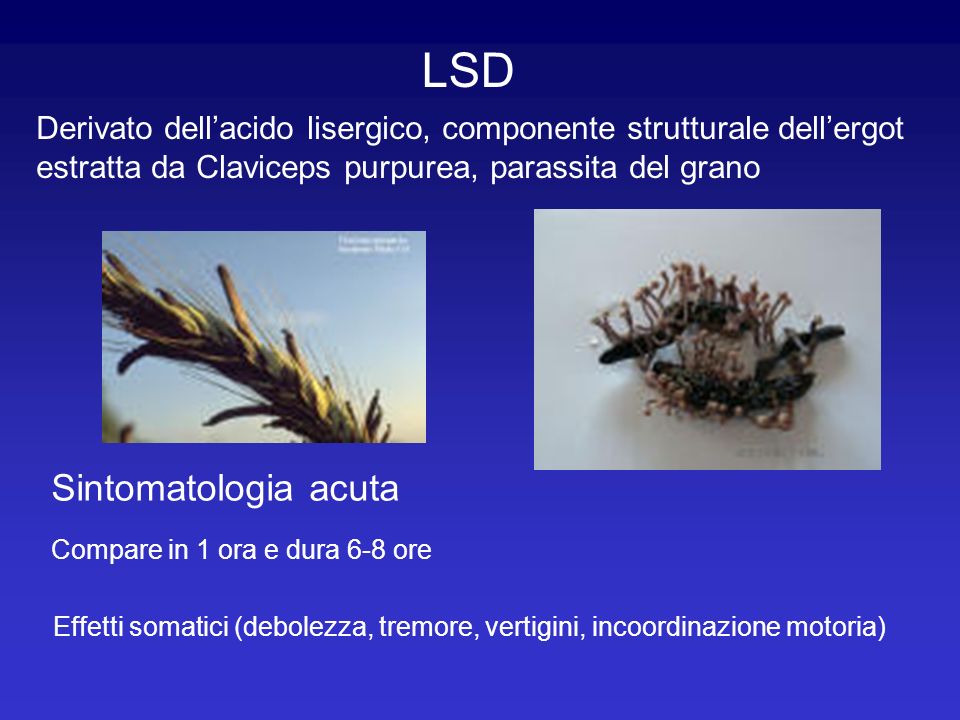 LSD Sintomatologia acuta