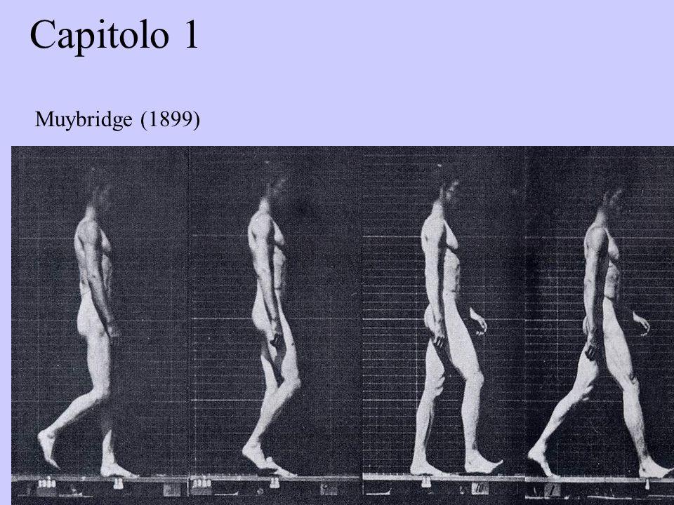 Capitolo 1 Muybridge (1899)