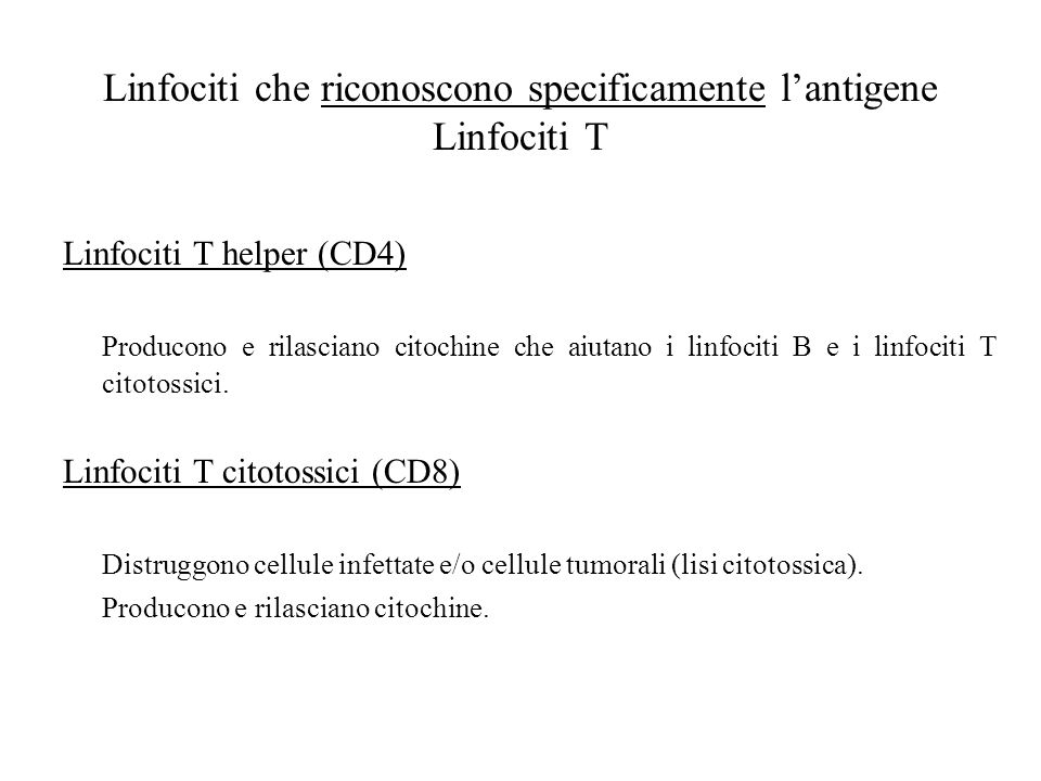 Linfociti che riconoscono specificamente l’antigene Linfociti T