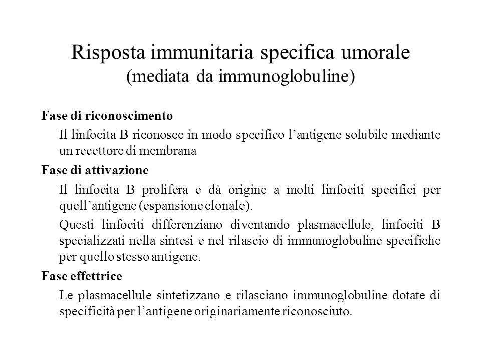 Risposta immunitaria specifica umorale (mediata da immunoglobuline)