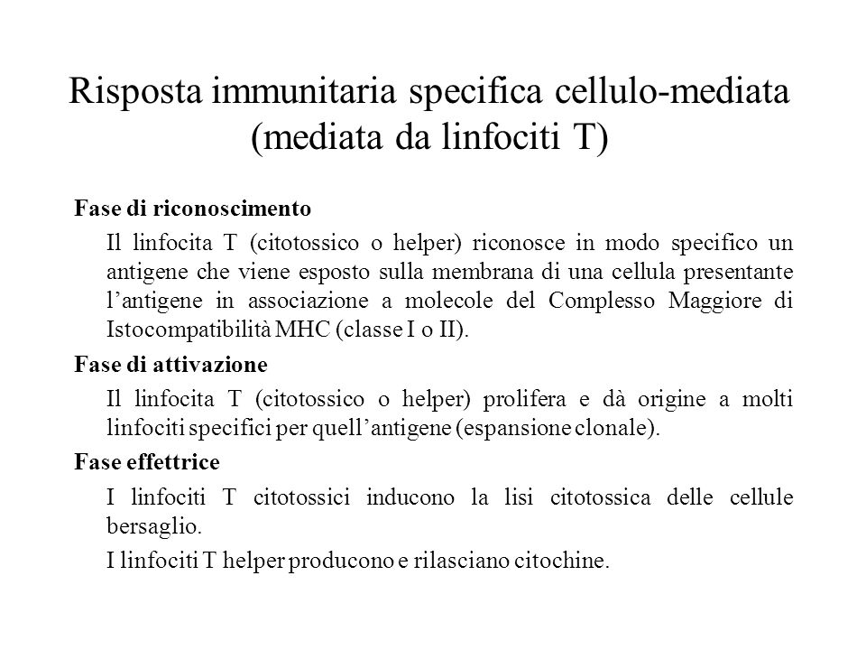 Risposta immunitaria specifica cellulo-mediata (mediata da linfociti T)