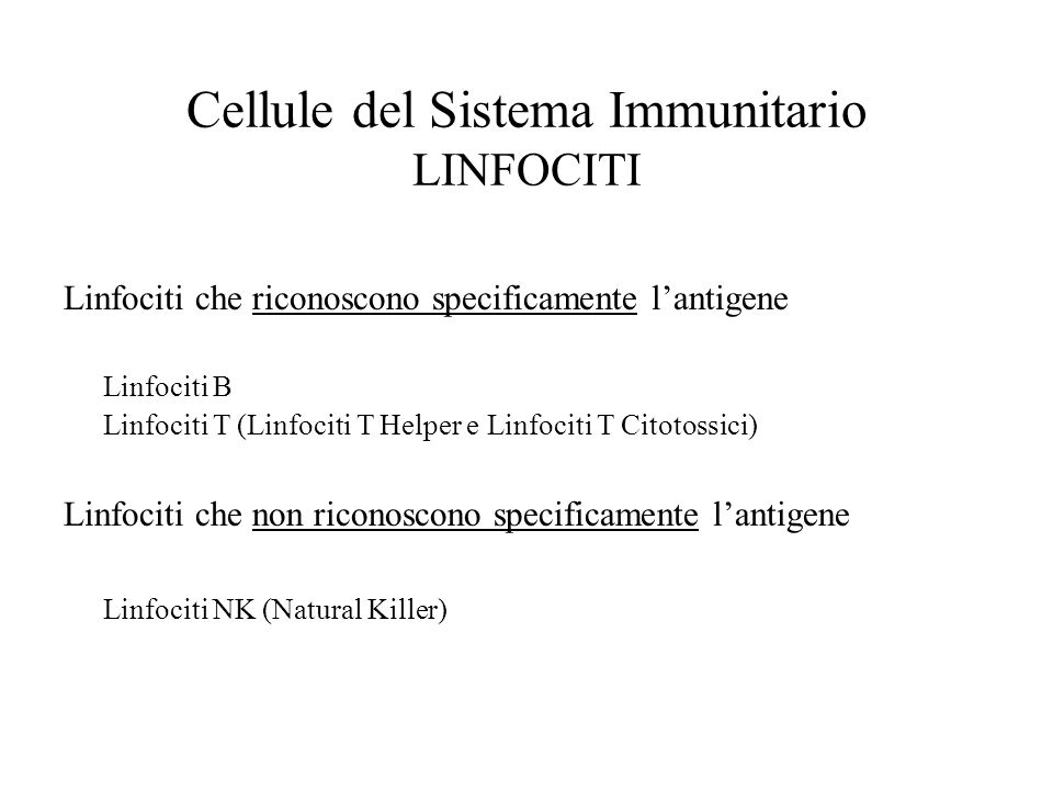 Cellule del Sistema Immunitario LINFOCITI