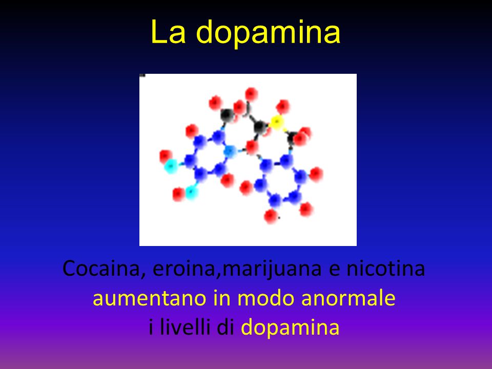 La dopamina Cocaina, eroina,marijuana e nicotina