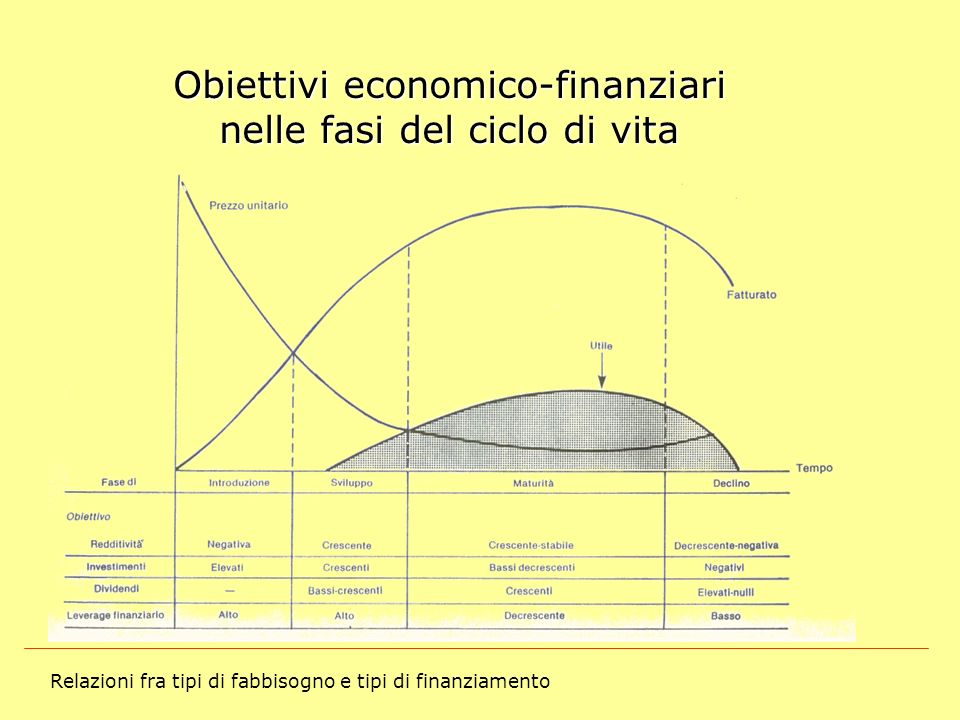 Obiettivi economico-finanziari nelle fasi del ciclo di vita