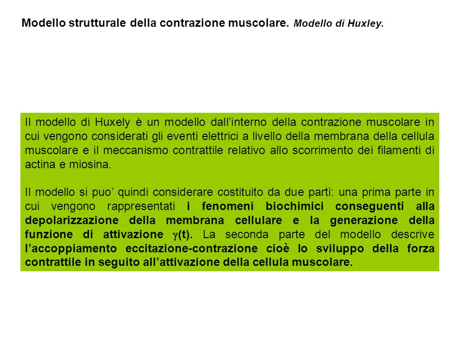 Modello strutturale della contrazione muscolare. Modello di Huxley.