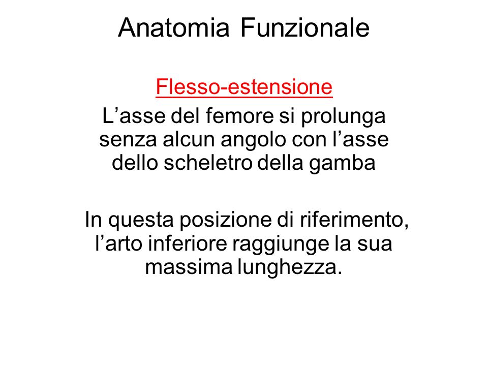 Anatomia Funzionale Flesso-estensione
