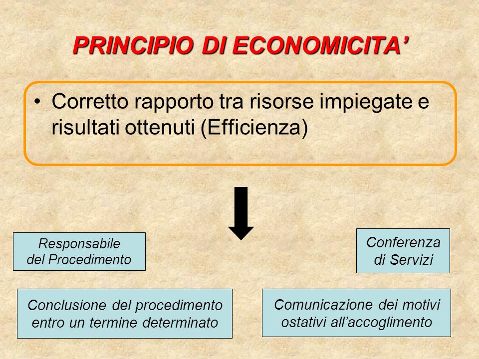 PRINCIPIO DI ECONOMICITA’