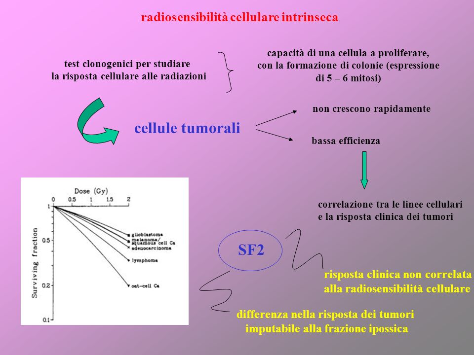 cellule tumorali SF2 radiosensibilità cellulare intrinseca