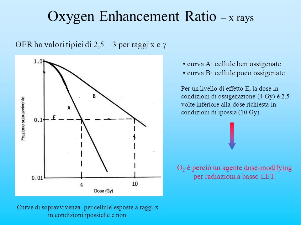 Oxygen Enhancement Ratio – x rays