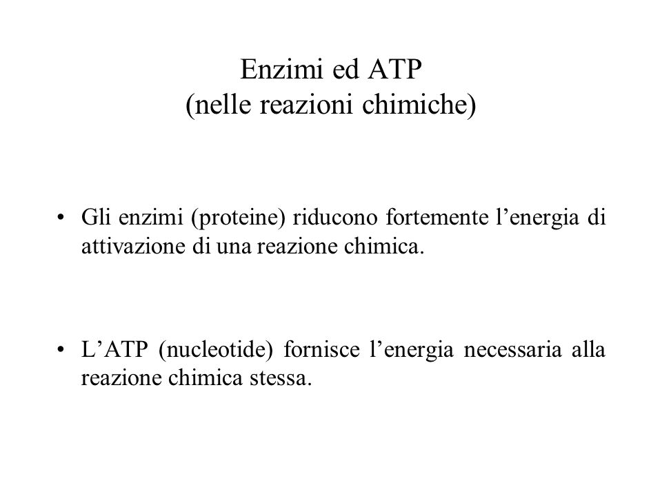 Enzimi ed ATP (nelle reazioni chimiche)