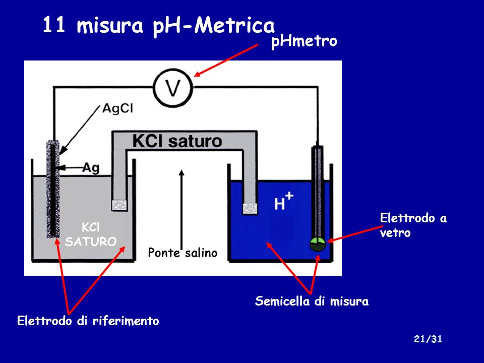 11 misura pH-Metrica pHmetro Elettrodo a vetro Ponte salino