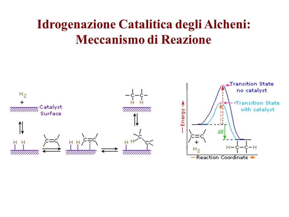 Idrogenazione Catalitica degli Alcheni: